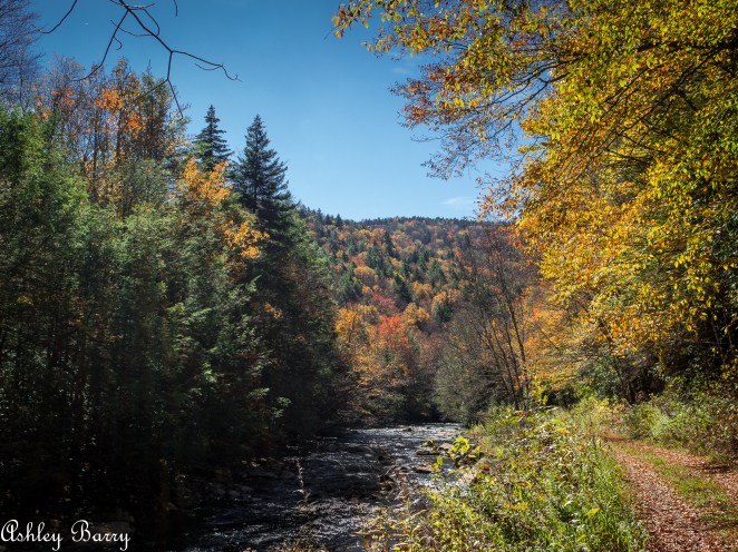 Cranberry_Wilderness-14